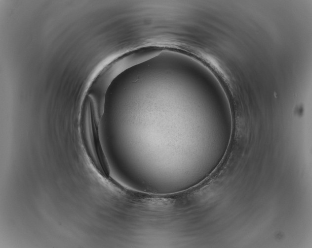 X0000090871331200707271242