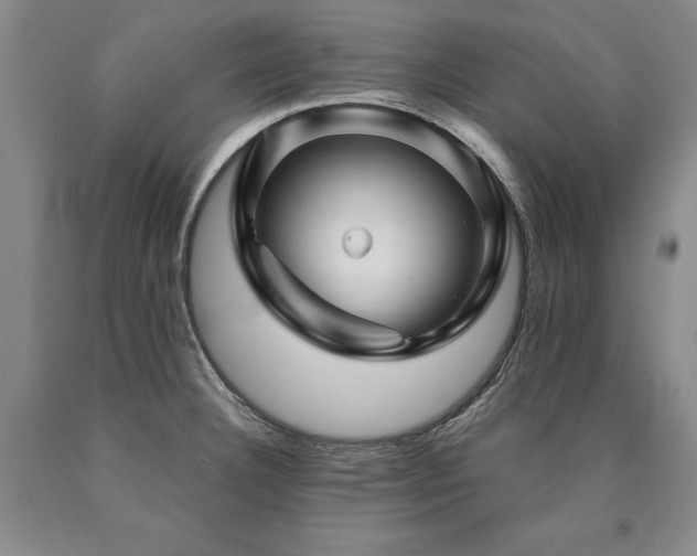 X0000090871332200707271242