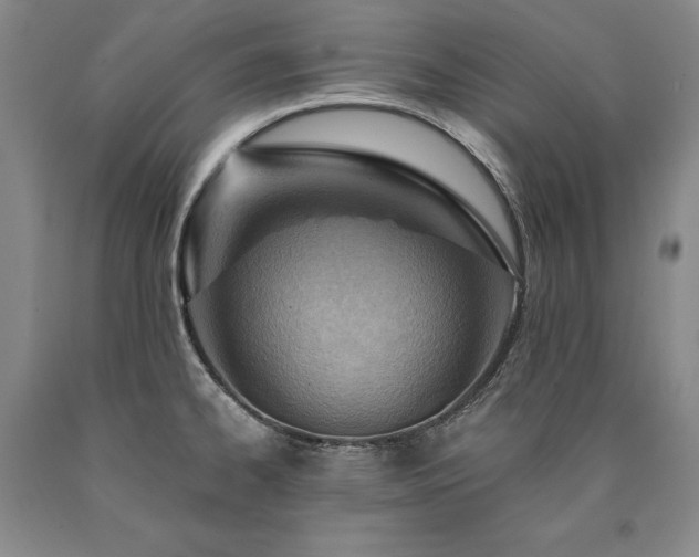 X0000090871334200707271242