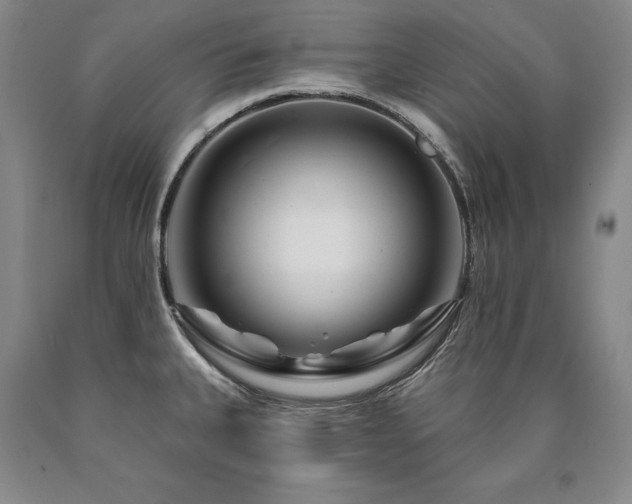 X0000090871335200707271242