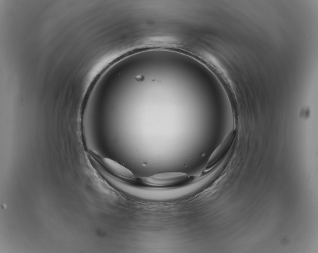 X0000090871336200707271242