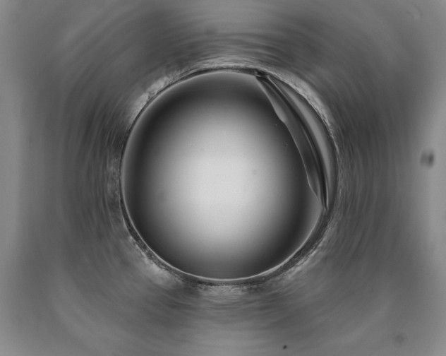 X0000090871337200707271242