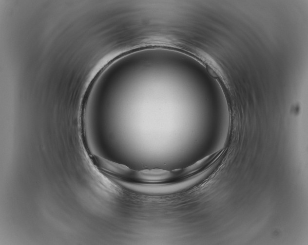 X0000090871339200707271242