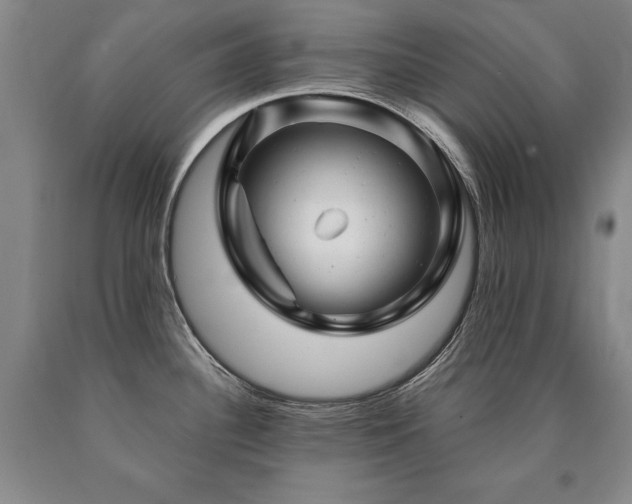 X0000090871340200707271242