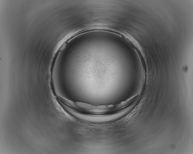 X0000090871341200707271242