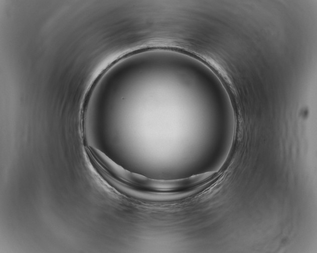 X0000090871342200707271242