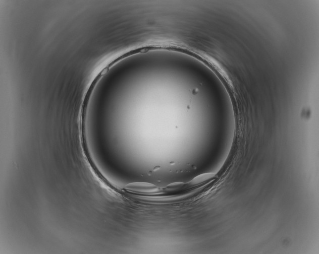 X0000090871343200707271242