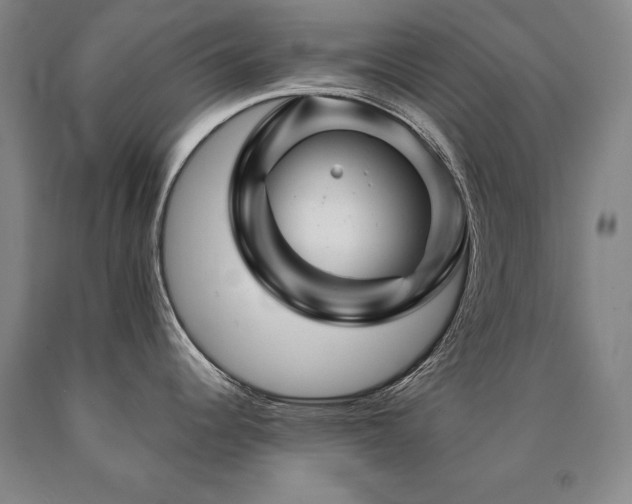 X0000090871344200707271242