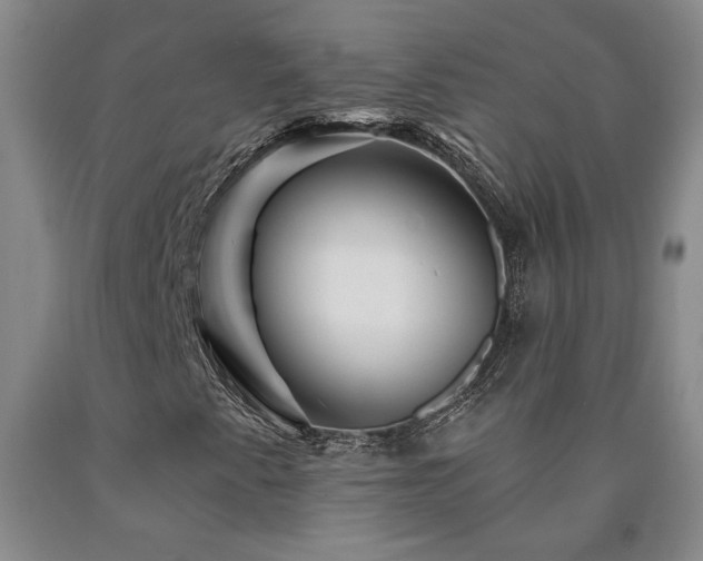 X0000090871345200707271242