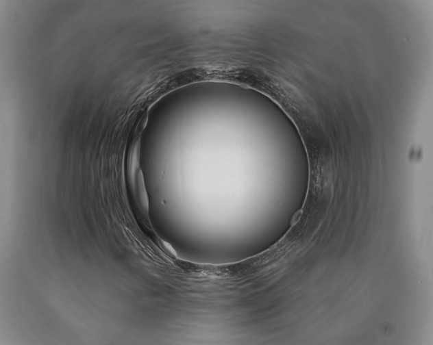 X0000090871346200707271242