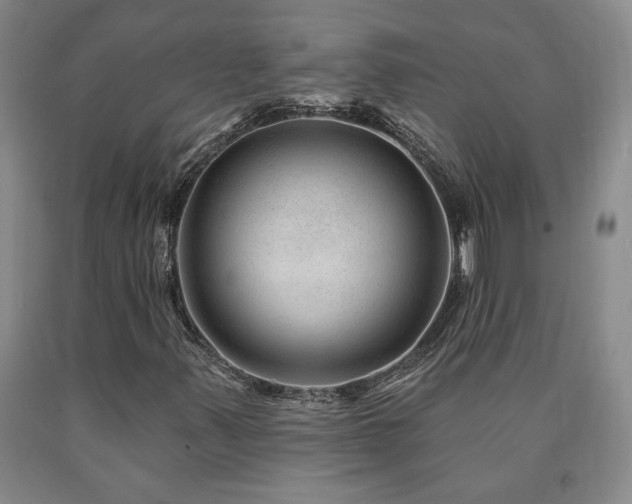 X0000090871347200707271242