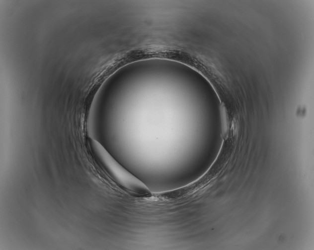 X0000090871348200707271242