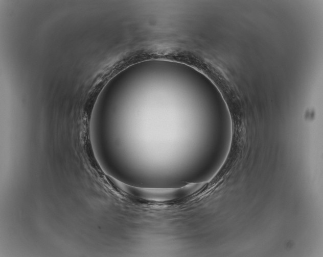X0000090871349200707271242