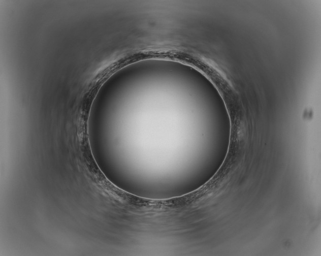 X0000090871350200707271242