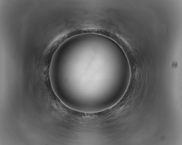 X0000090871351200707271242