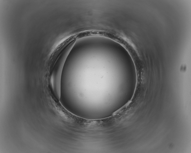 X0000090871352200707271242