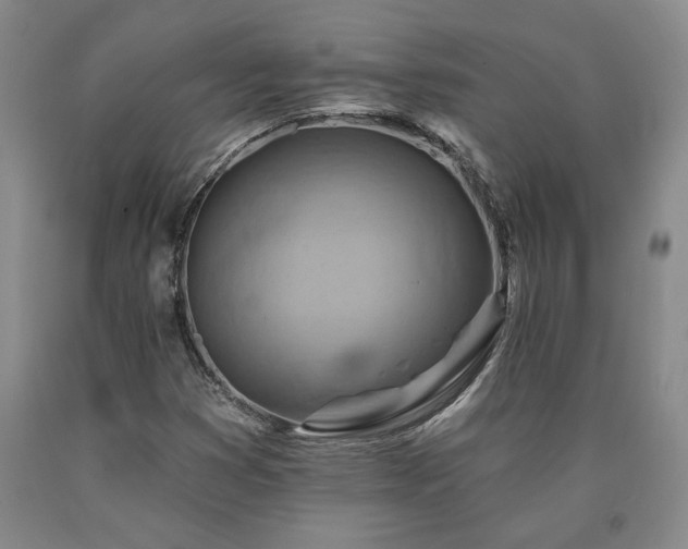 X0000090871353200707271242