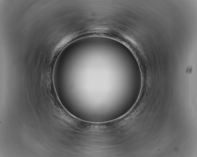 X0000090871354200707271242
