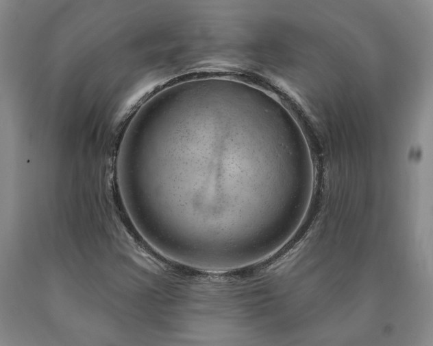 X0000090871355200707271241