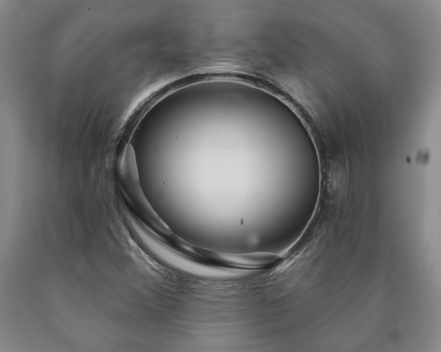 X0000090871356200707271241
