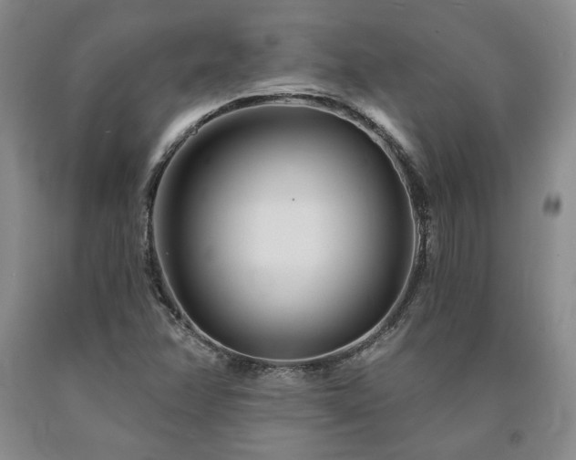 X0000090871358200707271241