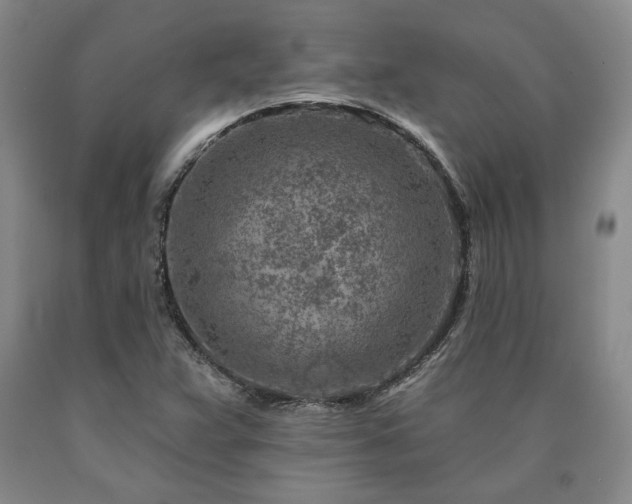 X0000090871359200707271241