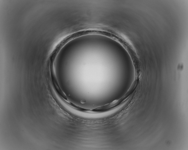 X0000090871360200707271241