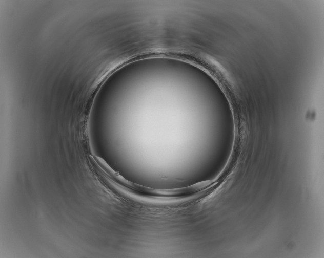X0000090871361200707271241