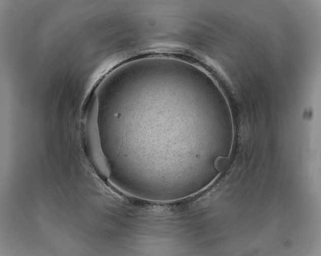 X0000090871362200707271241