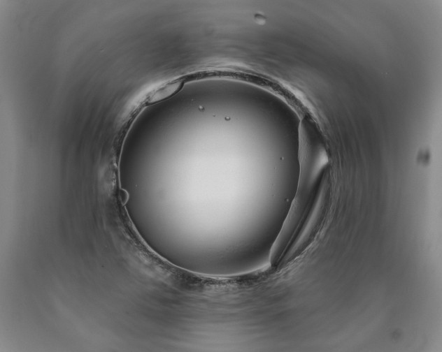 X0000090871363200707271241
