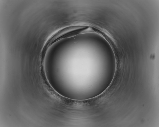X0000090871364200707271241