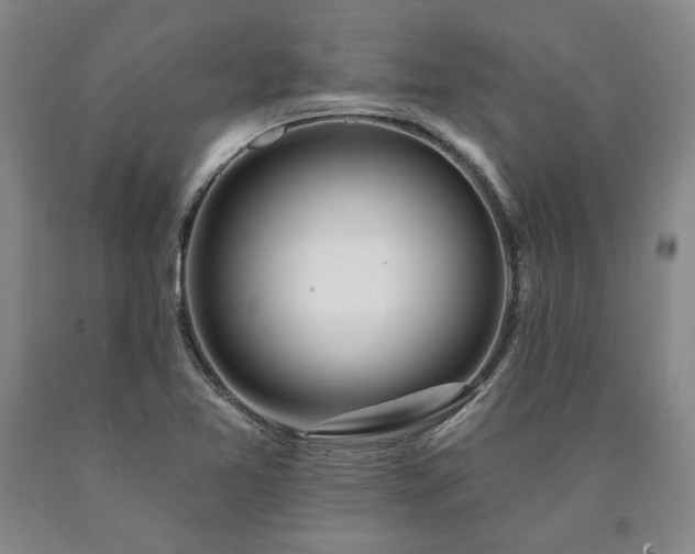 X0000090871365200707271241