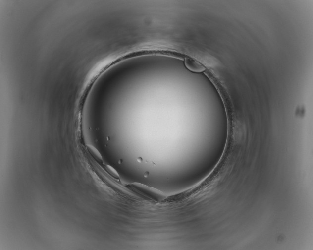 X0000090871366200707271241