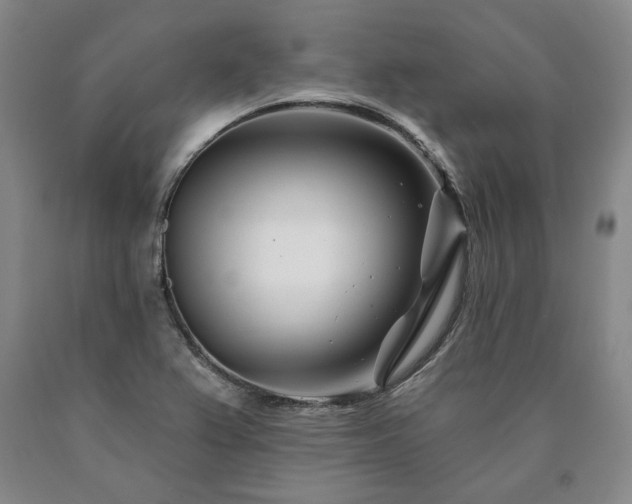 X0000090871367200707271241