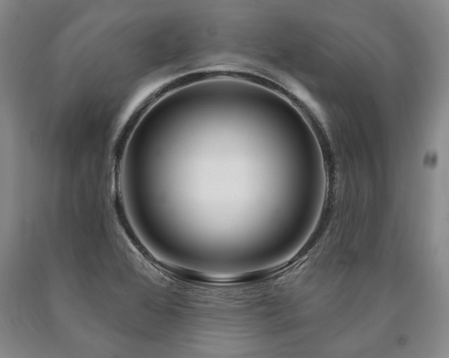 X0000090871368200707271241