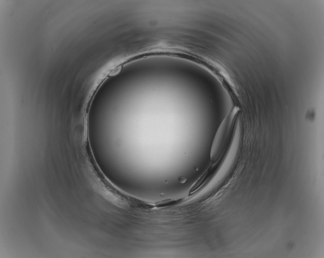 X0000090871371200707271241
