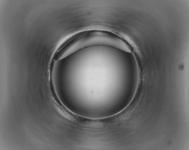 X0000090871372200707271241