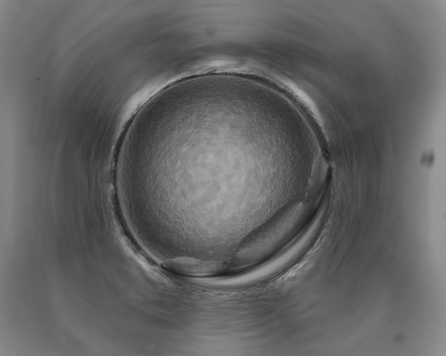 X0000090871373200707271241
