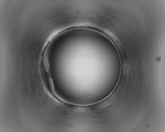 X0000090871374200707271241