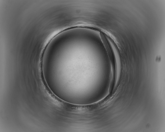 X0000090871375200707271241