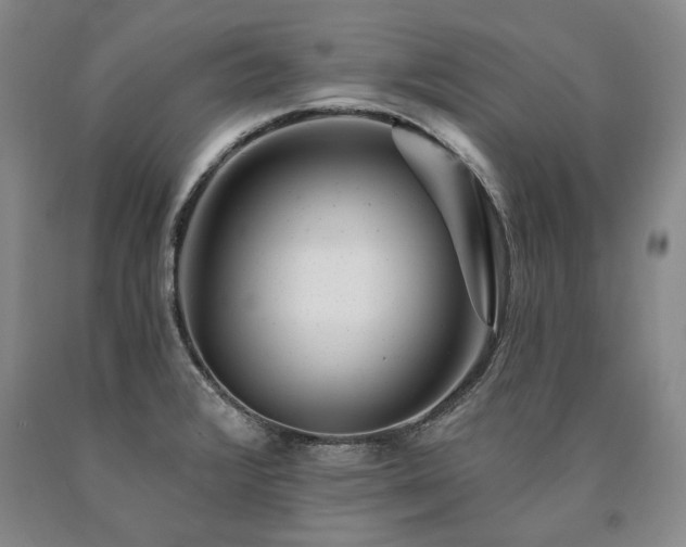 X0000090871376200707271241