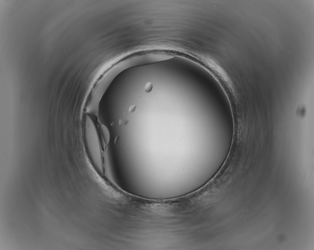 X0000090871380200707271241
