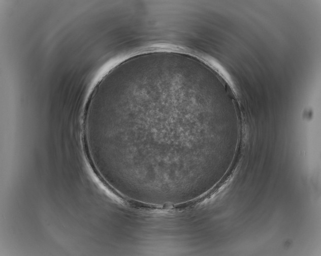 X0000090871381200707271241