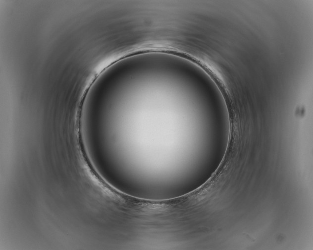 X0000090871382200707271241