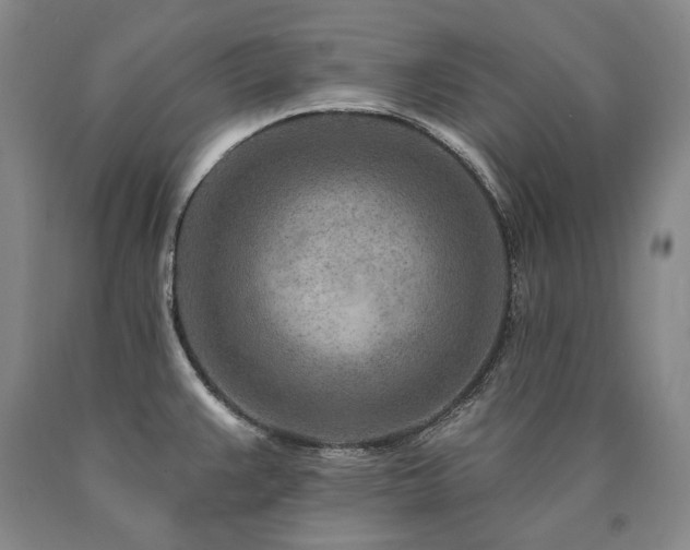 X0000090871383200707271241