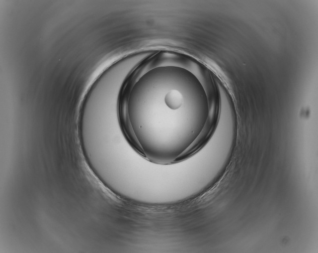 X0000090871384200707271241