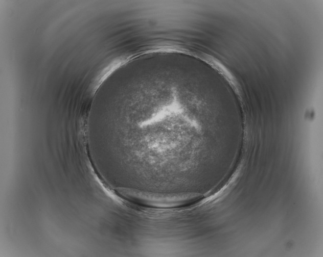 X0000090871385200707271241