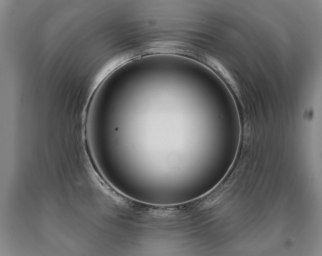 X0000090871386200707271241