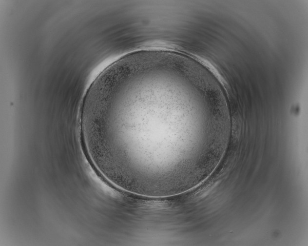 X0000090871387200707271241