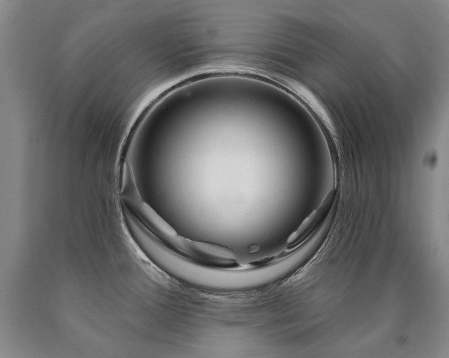 X0000090871388200707271241